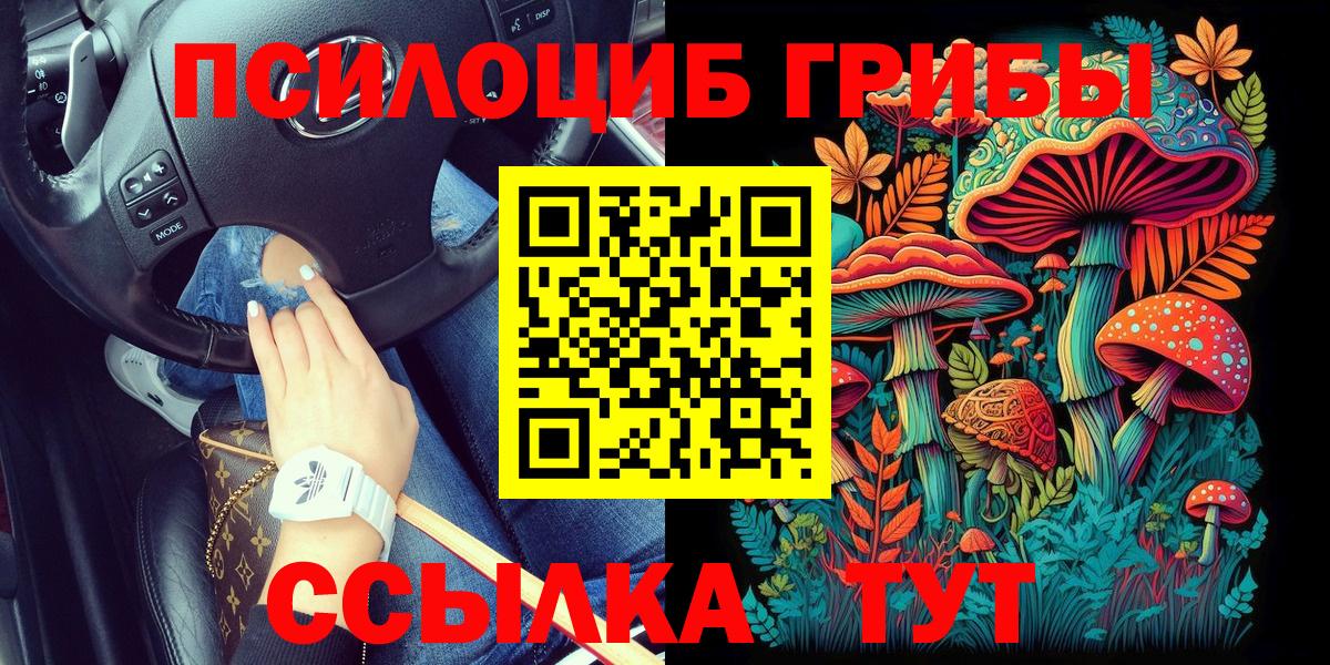 Урюпинск  Галлюциногенные грибы мухоморы  Галлюциногенные грибы MAGIC MUSHROOMS  Вход с VPN 